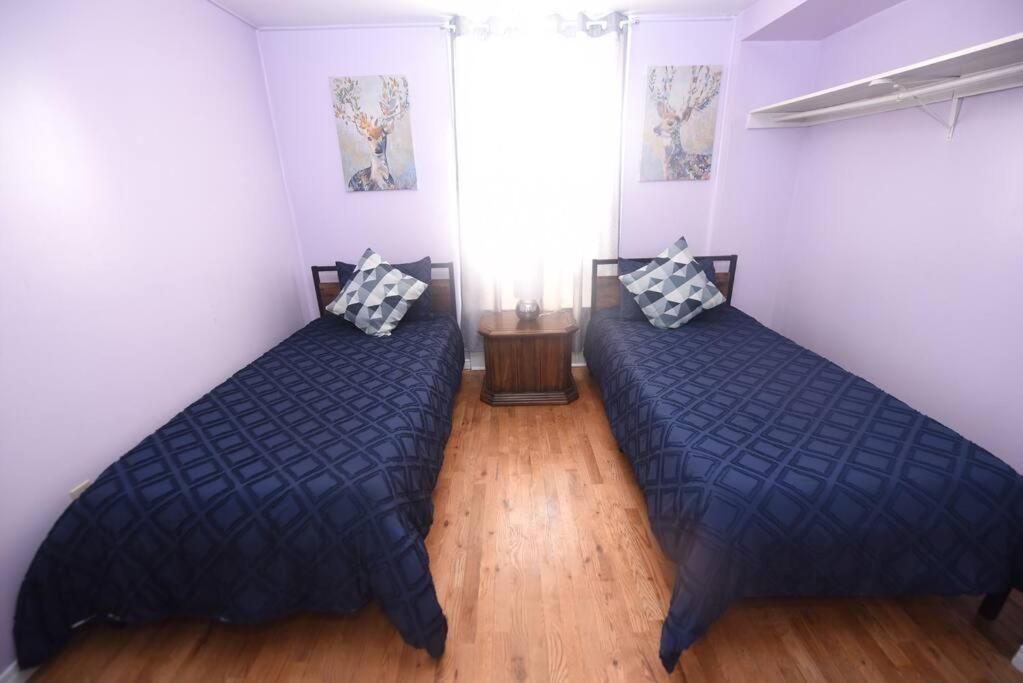 Prime Location Duo Nest & Rest Apartment Kingston Ngoại thất bức ảnh
